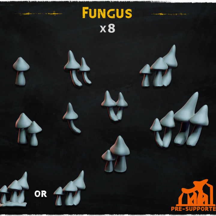 Fungus