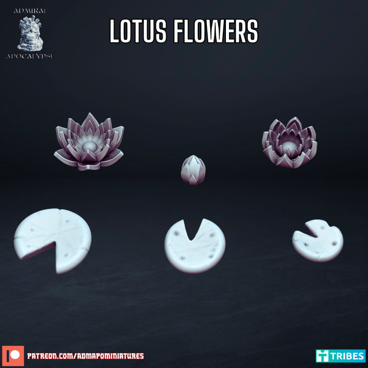 lotus Flowers