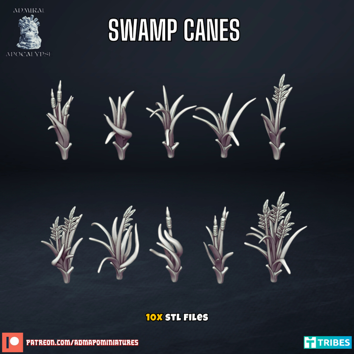 Swamp Canes