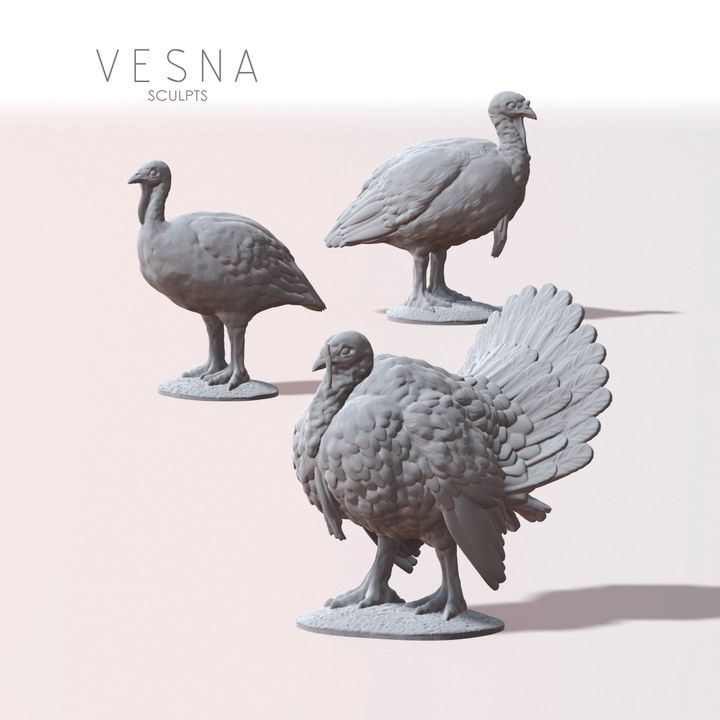 Turkey Flock
