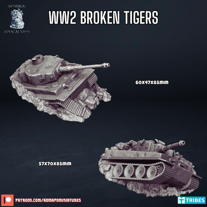 Broken WW2 German Tiger Tanks