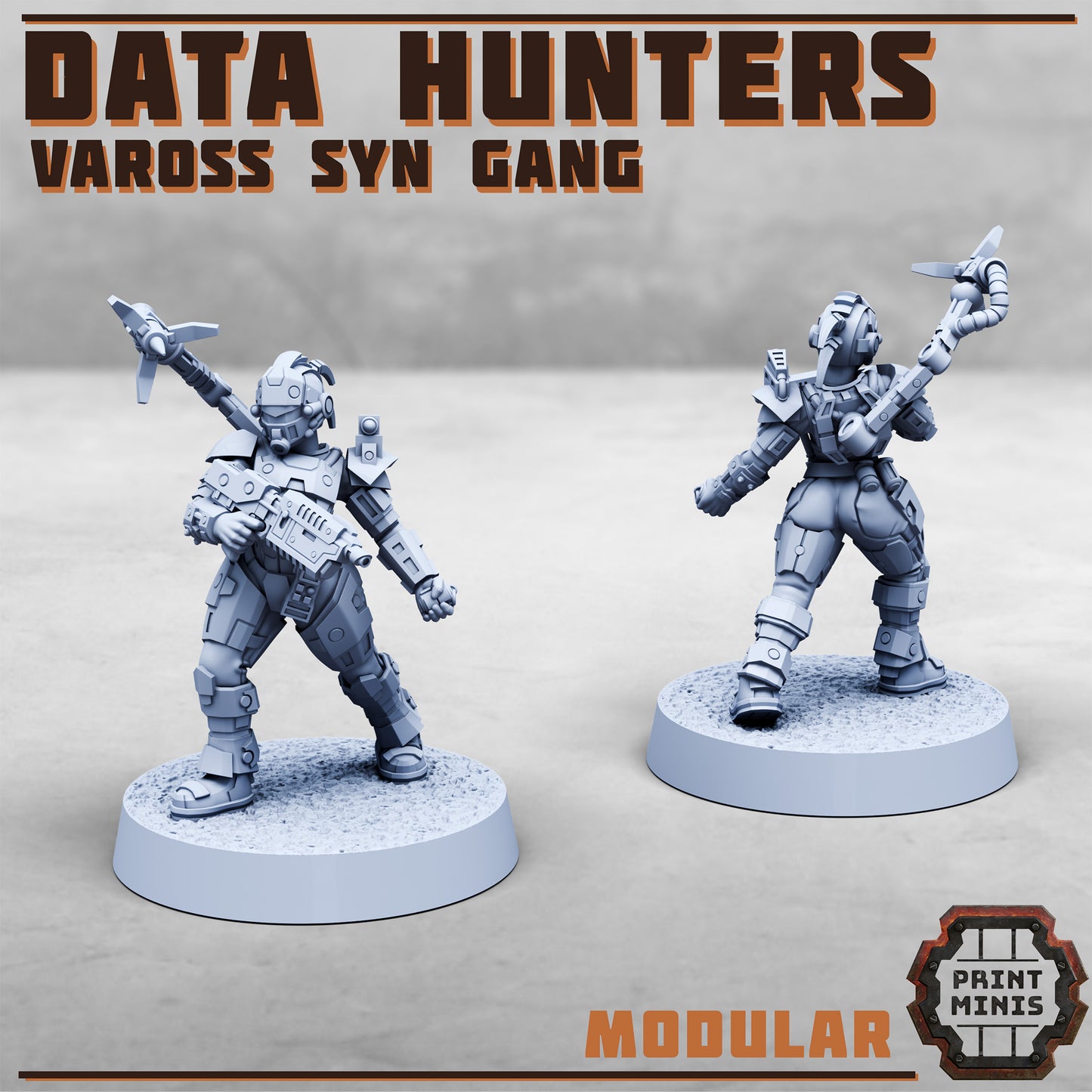 Data Hunters - Vaross Syn Gang