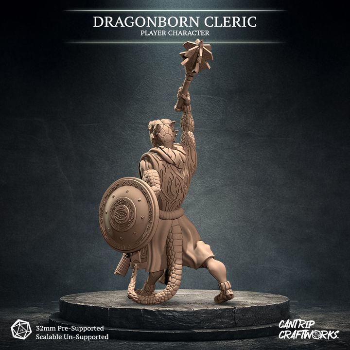 Dragonborn Cleric