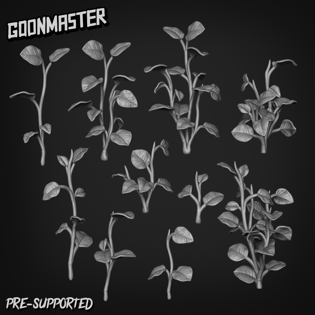Epipremnum Aureum by Goon Master