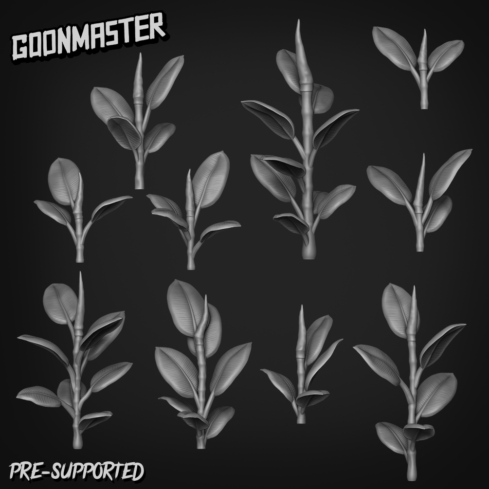 Ficus Elastica by Goon Master
