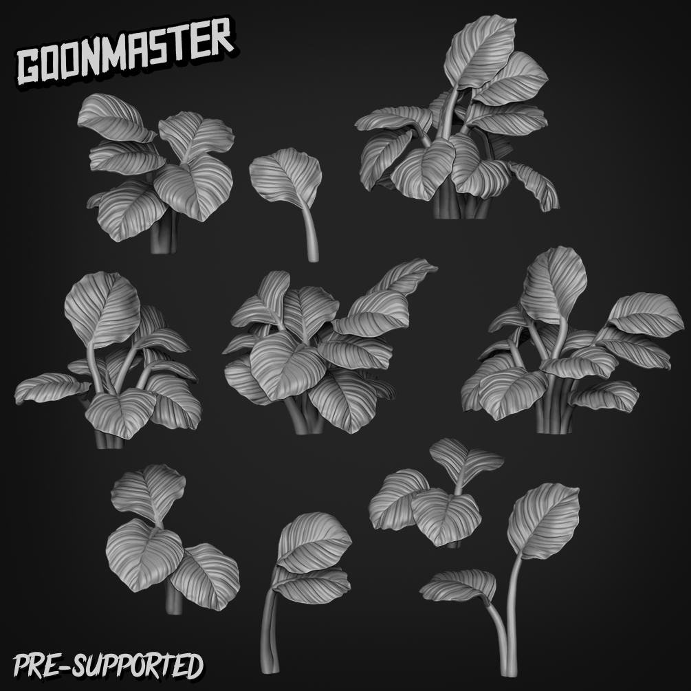 Goeppertia Orbifolia by Goon Master