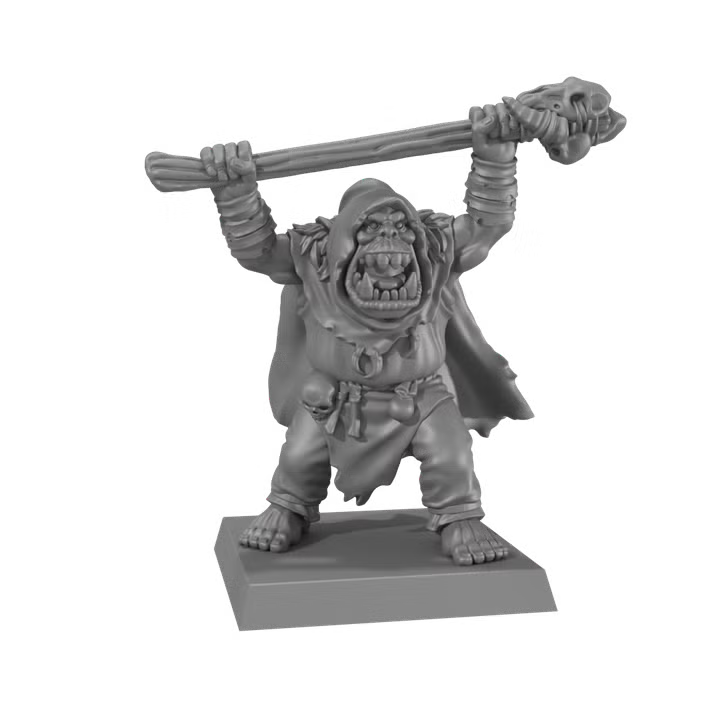 ORCS & GOBLINS: Orc Shaman 2