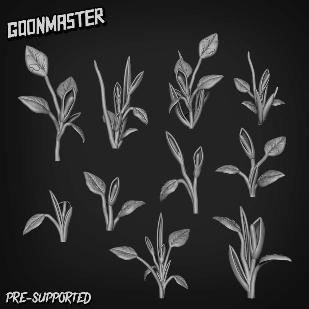 Philodendron Erubescens by Goon Master