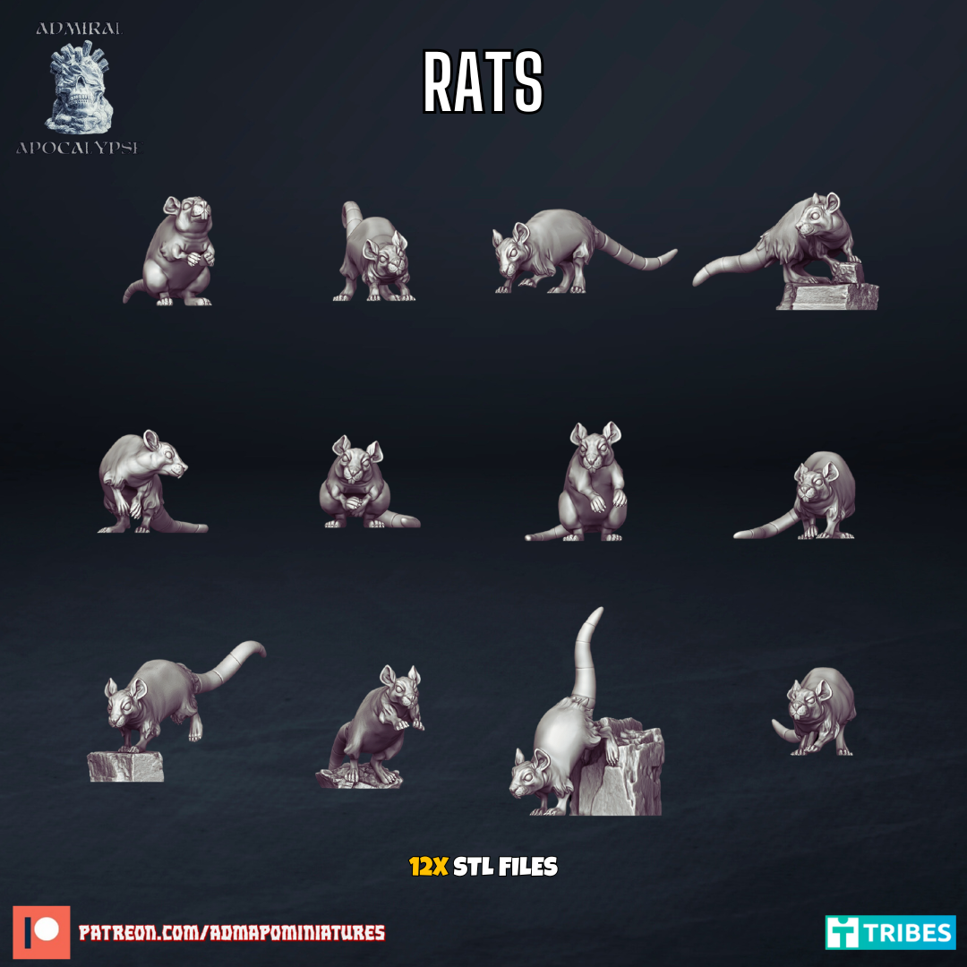 Rats by Admiral Apocalypse