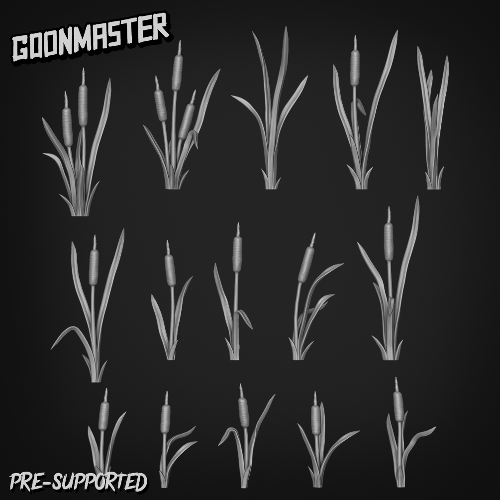 Typha Latifolia by Goon Master