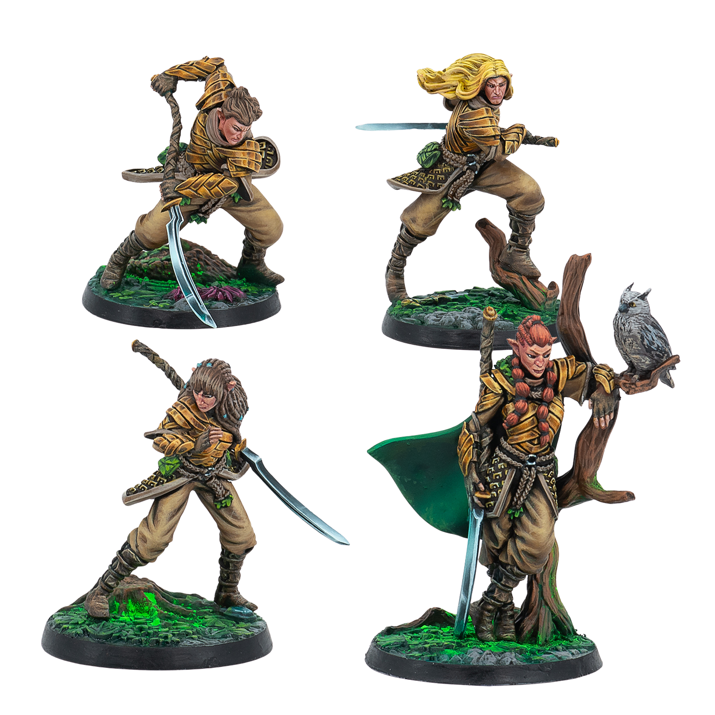 Syenann: Syena Wardens