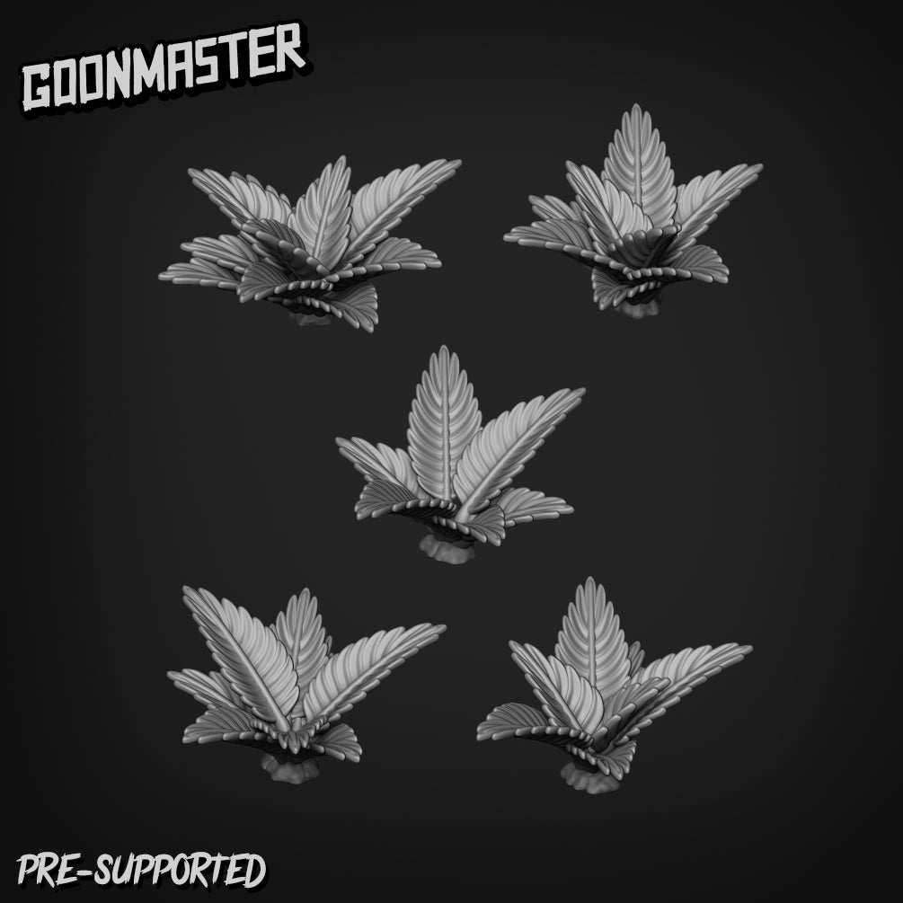 Ferns 1 By Goon Master