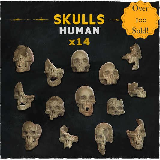 Human Skulls