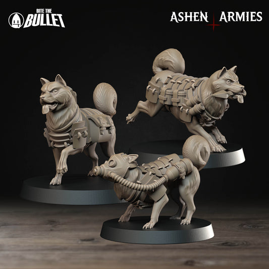 Holy Shogunate - Combat Dogs