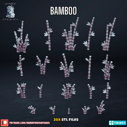 Bamboo