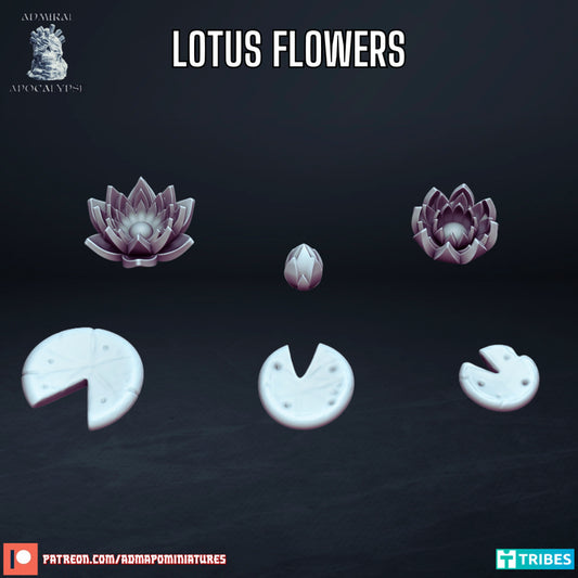 lotus Flowers