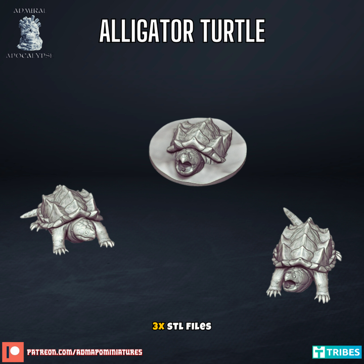 Alligator Turtles