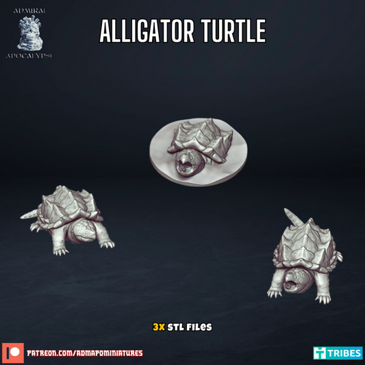 Alligator Turtles