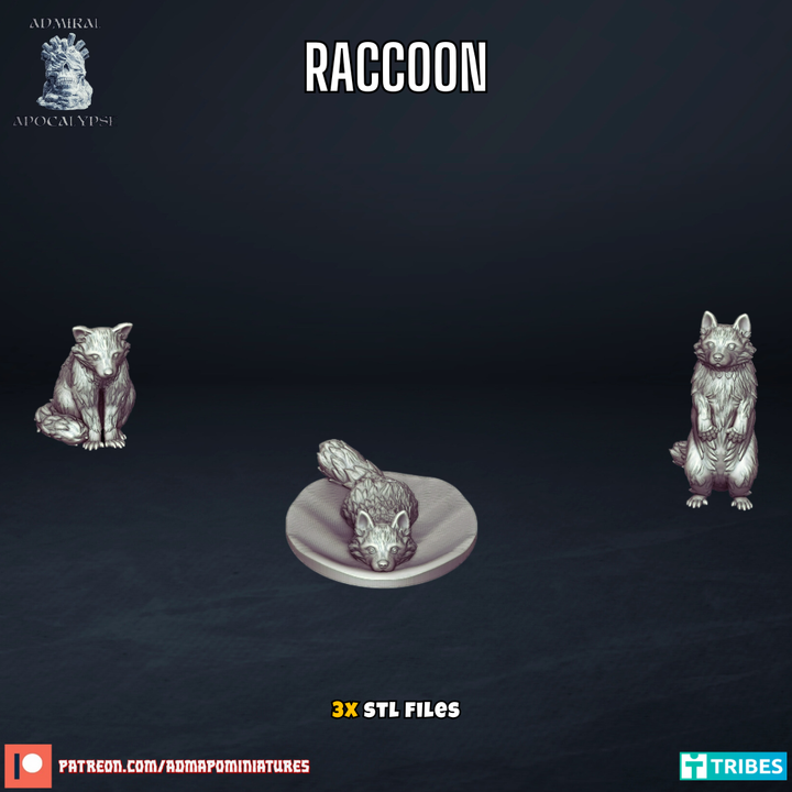 Racoons
