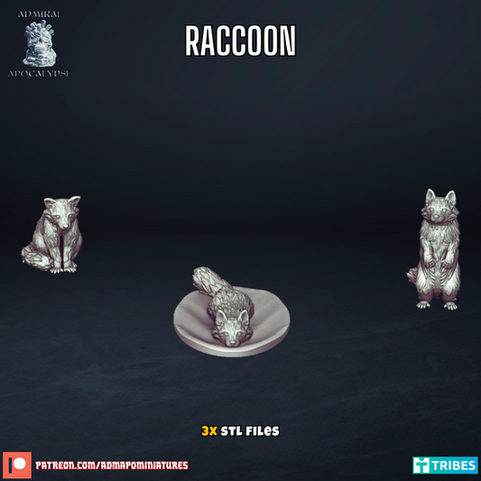 Racoons