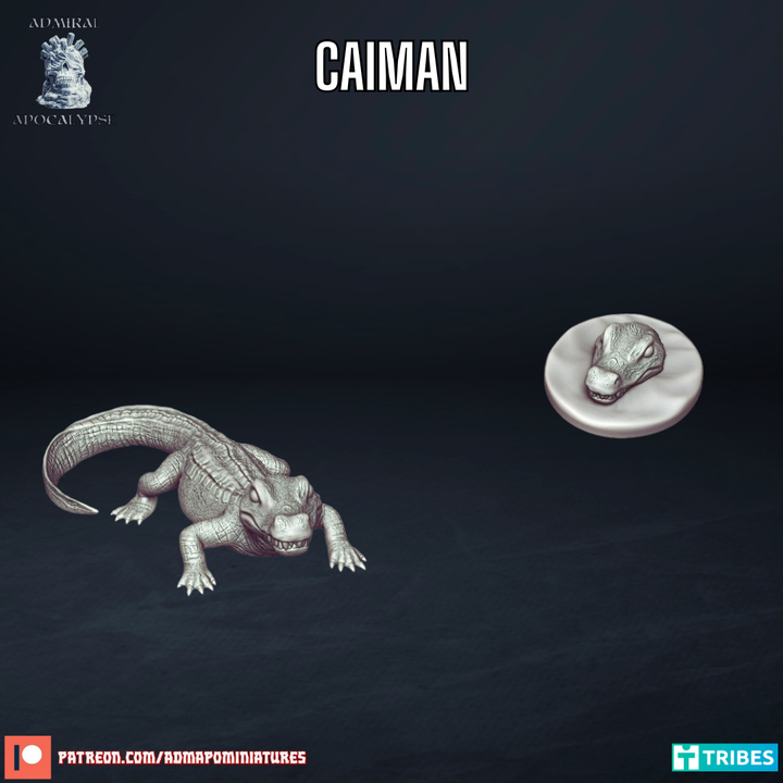 Caiman
