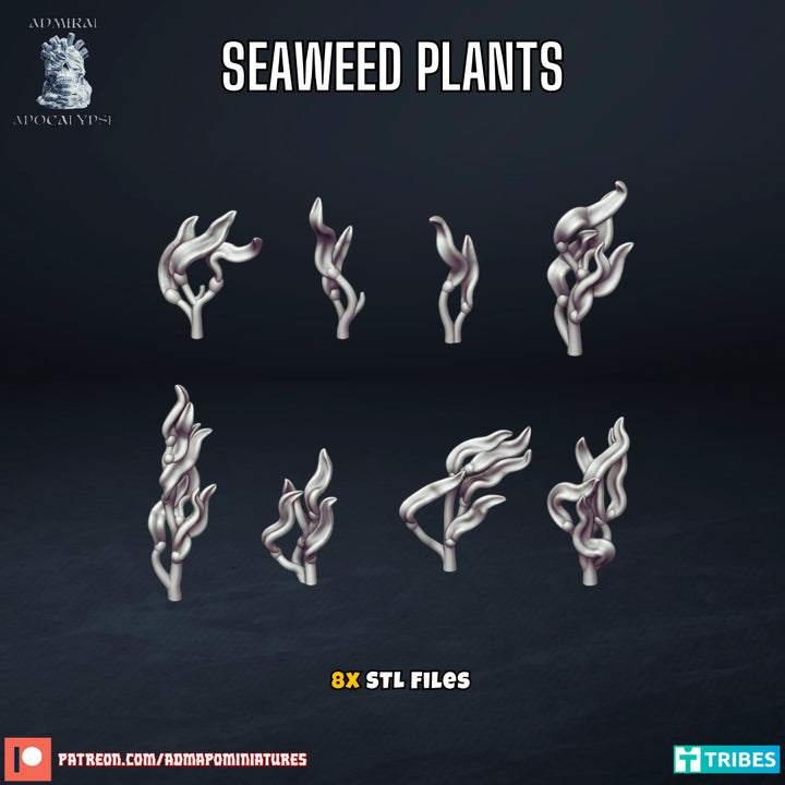 Seaweed plants