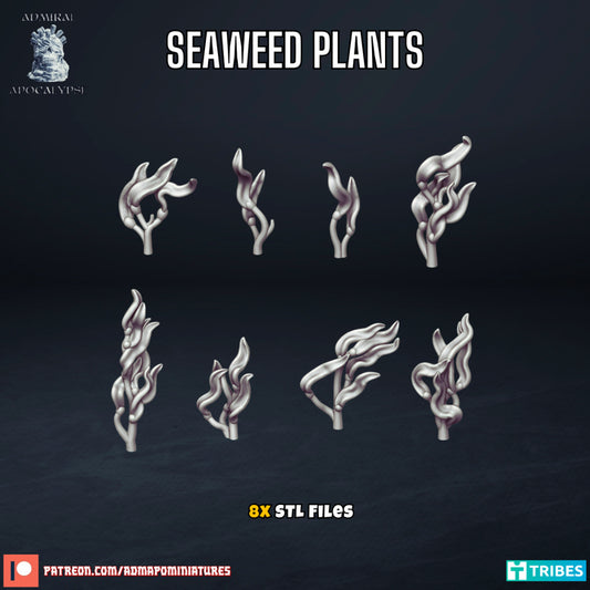 Seaweed plants