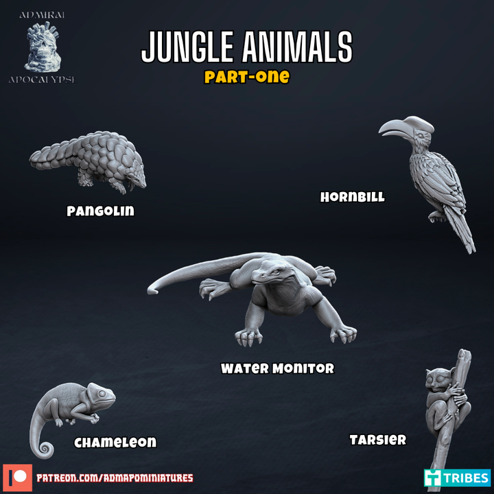 Jungle Animals