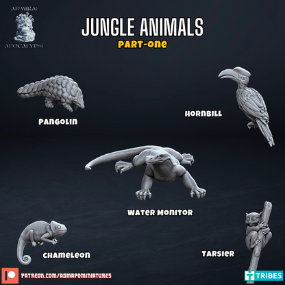Jungle Animals