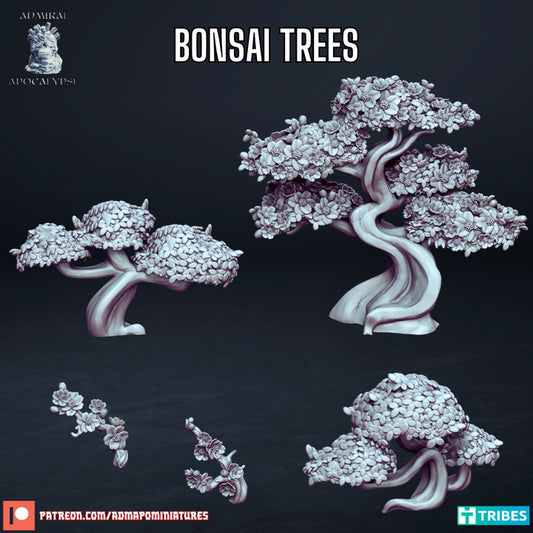 Bonsai Trees