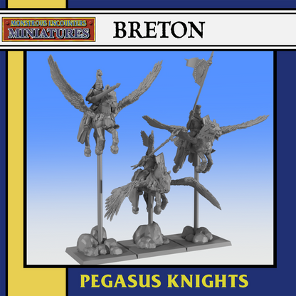 BRETON: Pegasus Knights by Monstrous Encounters