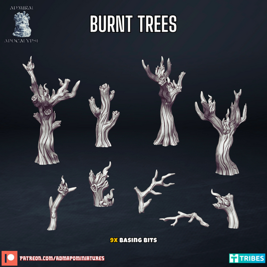 Burnt Trees