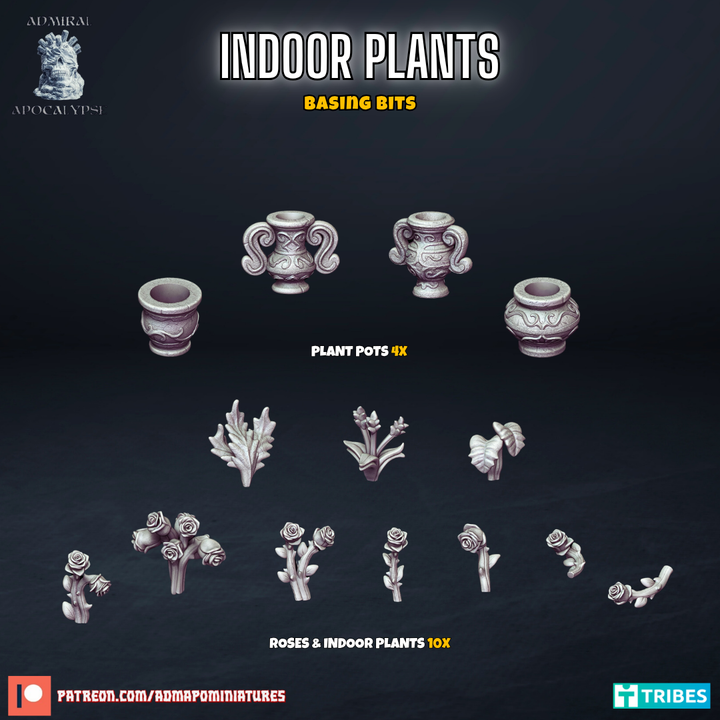Indoor Plants