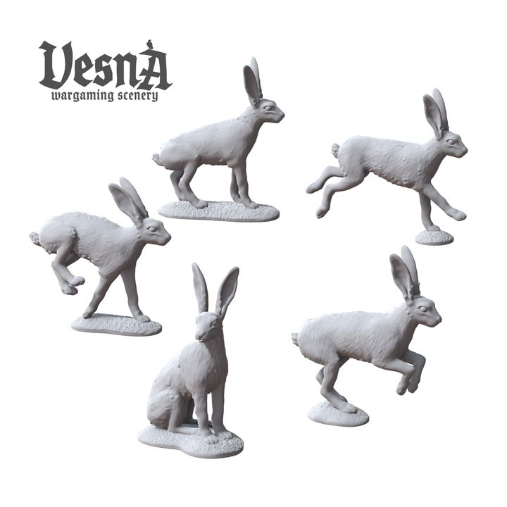 Hares