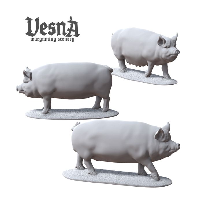 Prize Pigs