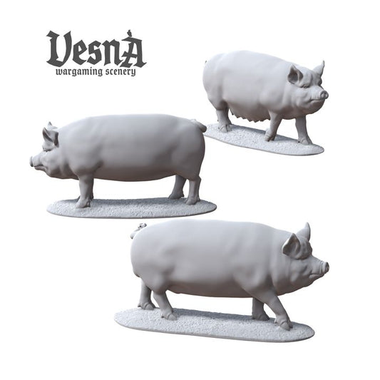 Prize Pigs