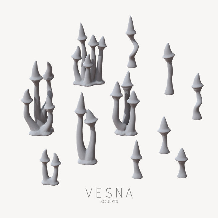 Pointy Hat Mushrooms