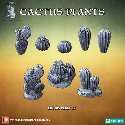 Cactus Plants