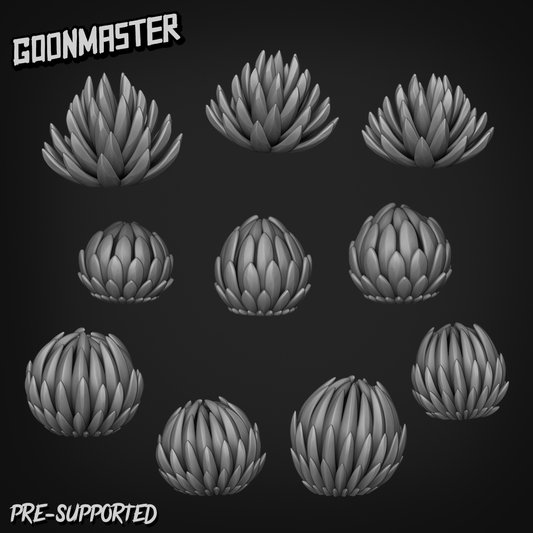 Agave Victoriae Reginae by Goon Master