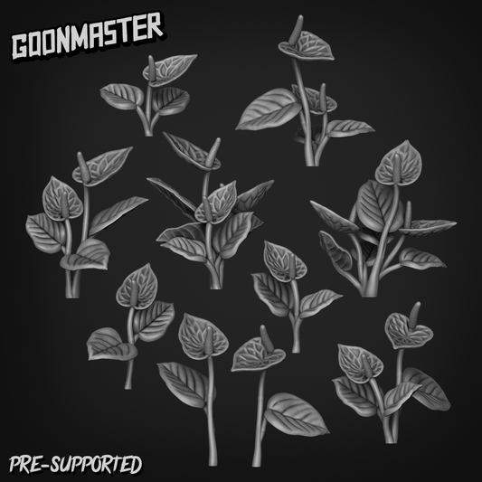 Anthurium Andraeanum by Goon Master