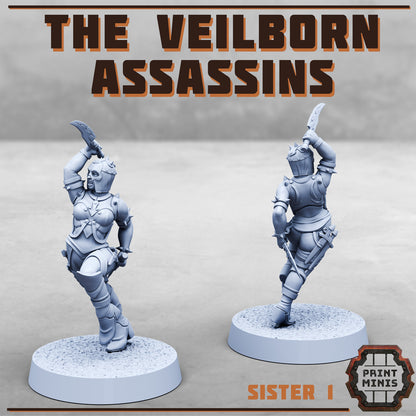Veilborn Assassins - Bounty Hunters