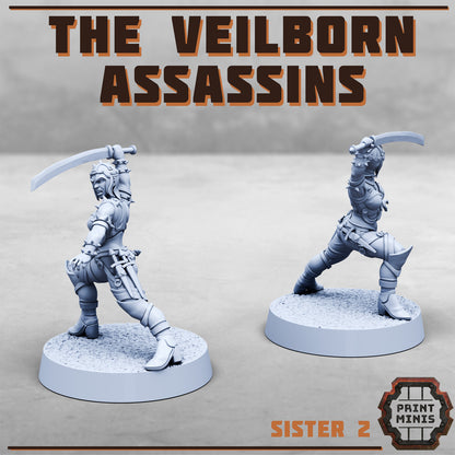Veilborn Assassins - Bounty Hunters