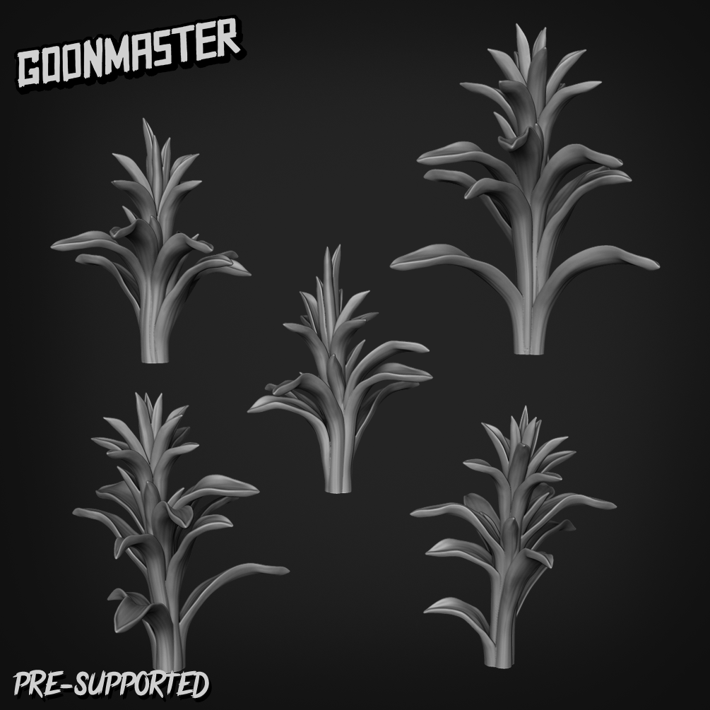 Guzmania Bromeliad by Goon Master