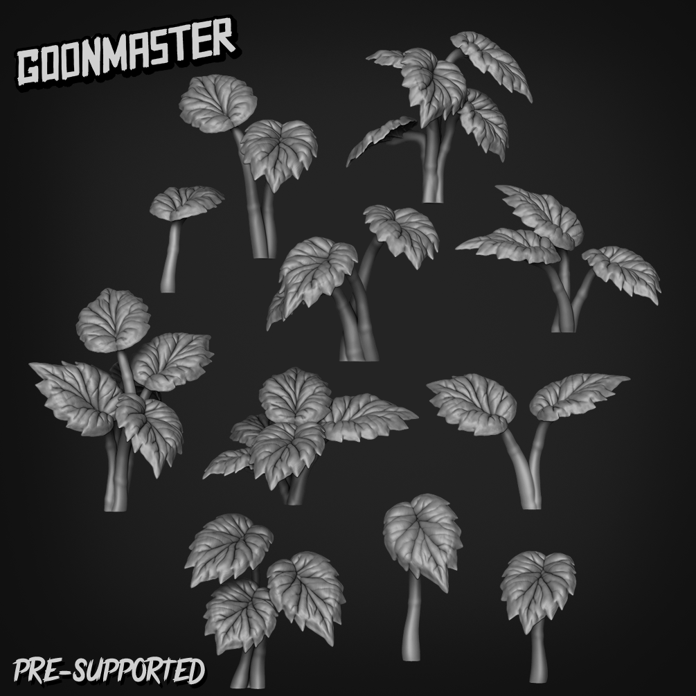 Begonia Rex by Goon Master