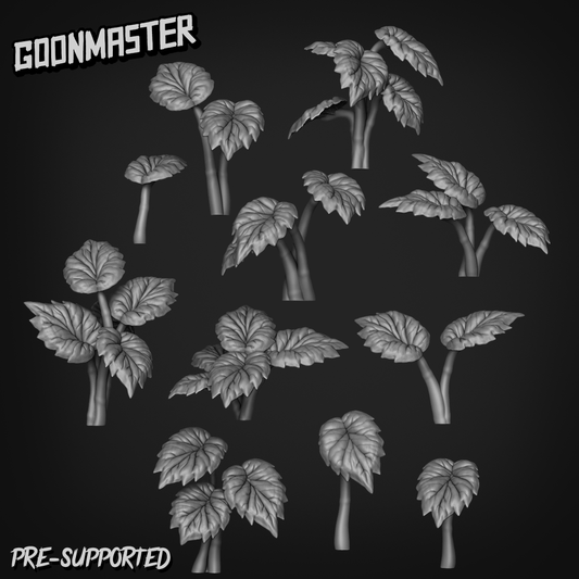 Begonia Rex by Goon Master