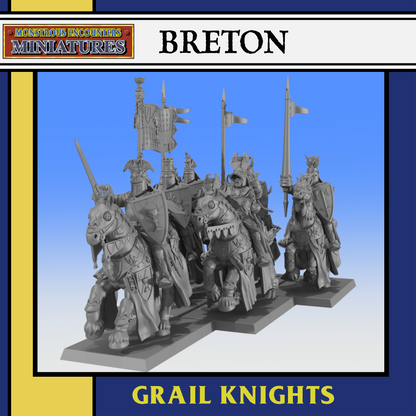 Breton Grail Knights by Monstorous Encounters