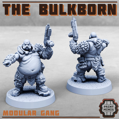 The Bulkborn Gang - The Fat gang!