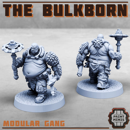 The Bulkborn Gang - The Fat gang!