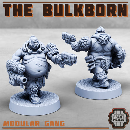 The Bulkborn Gang - The Fat gang!