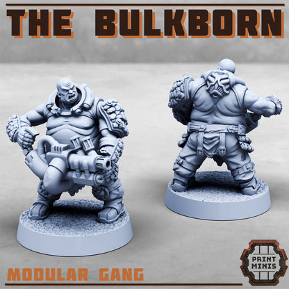 The Bulkborn Gang - The Fat gang!